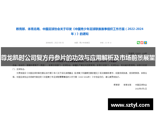 尊龙凯时公司复方丹参片的功效与应用解析及市场前景展望 尊龙凯时公司复方丹参片的功效与应用解析及市场前景展望