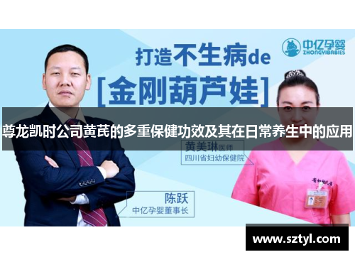 尊龙凯时公司黄芪的多重保健功效及其在日常养生中的应用