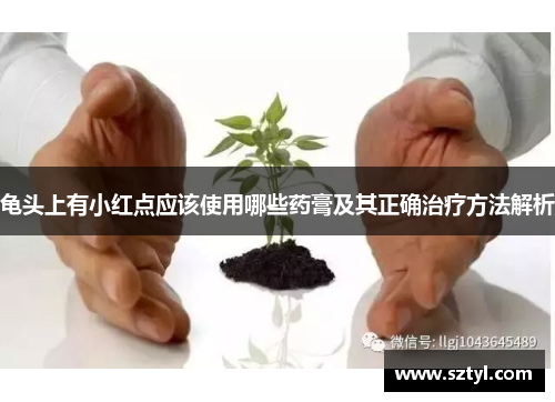 龟头上有小红点应该使用哪些药膏及其正确治疗方法解析 龟头上有小红点应该使用哪些药膏及其正确治疗方法解析